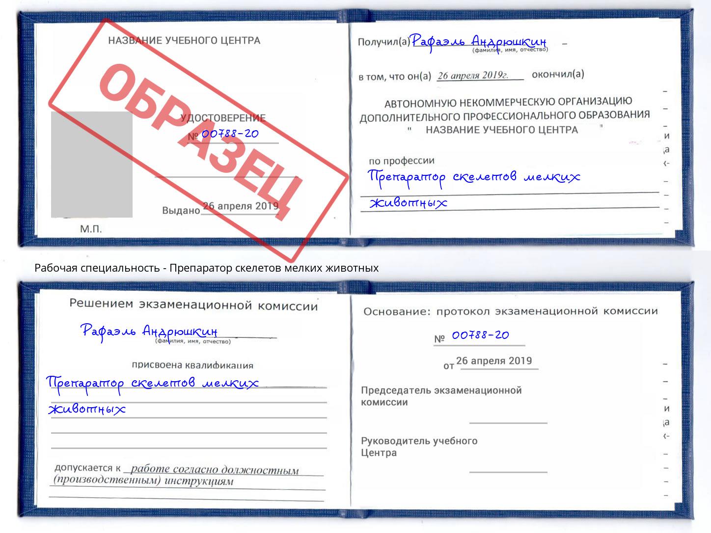 Препаратор скелетов мелких животных Елец