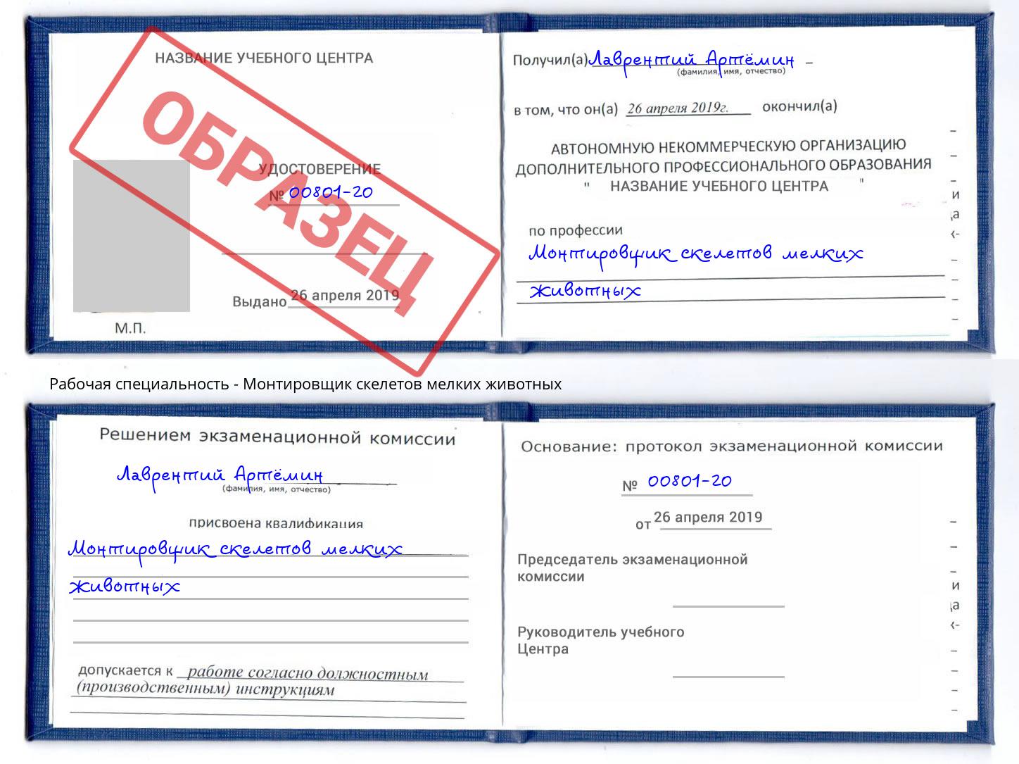 Монтировщик скелетов мелких животных Елец