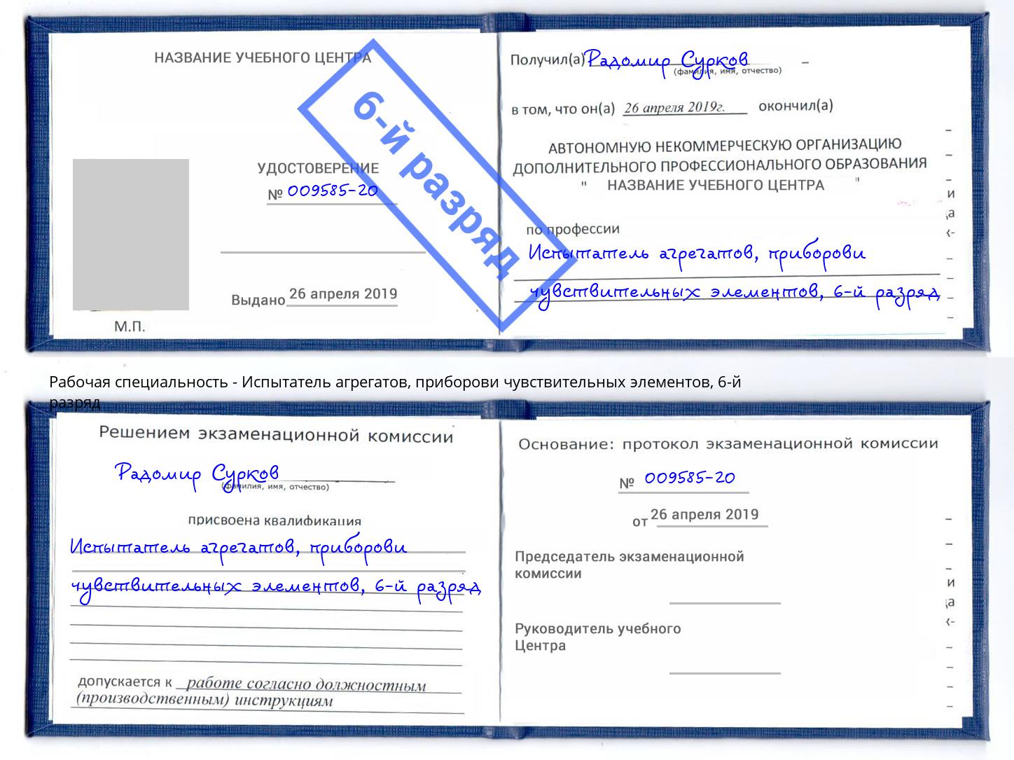 корочка 6-й разряд Испытатель агрегатов, приборови чувствительных элементов Елец