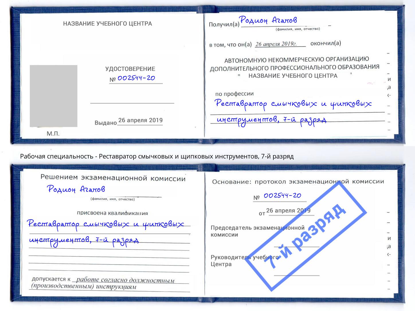 корочка 7-й разряд Реставратор смычковых и щипковых инструментов Елец