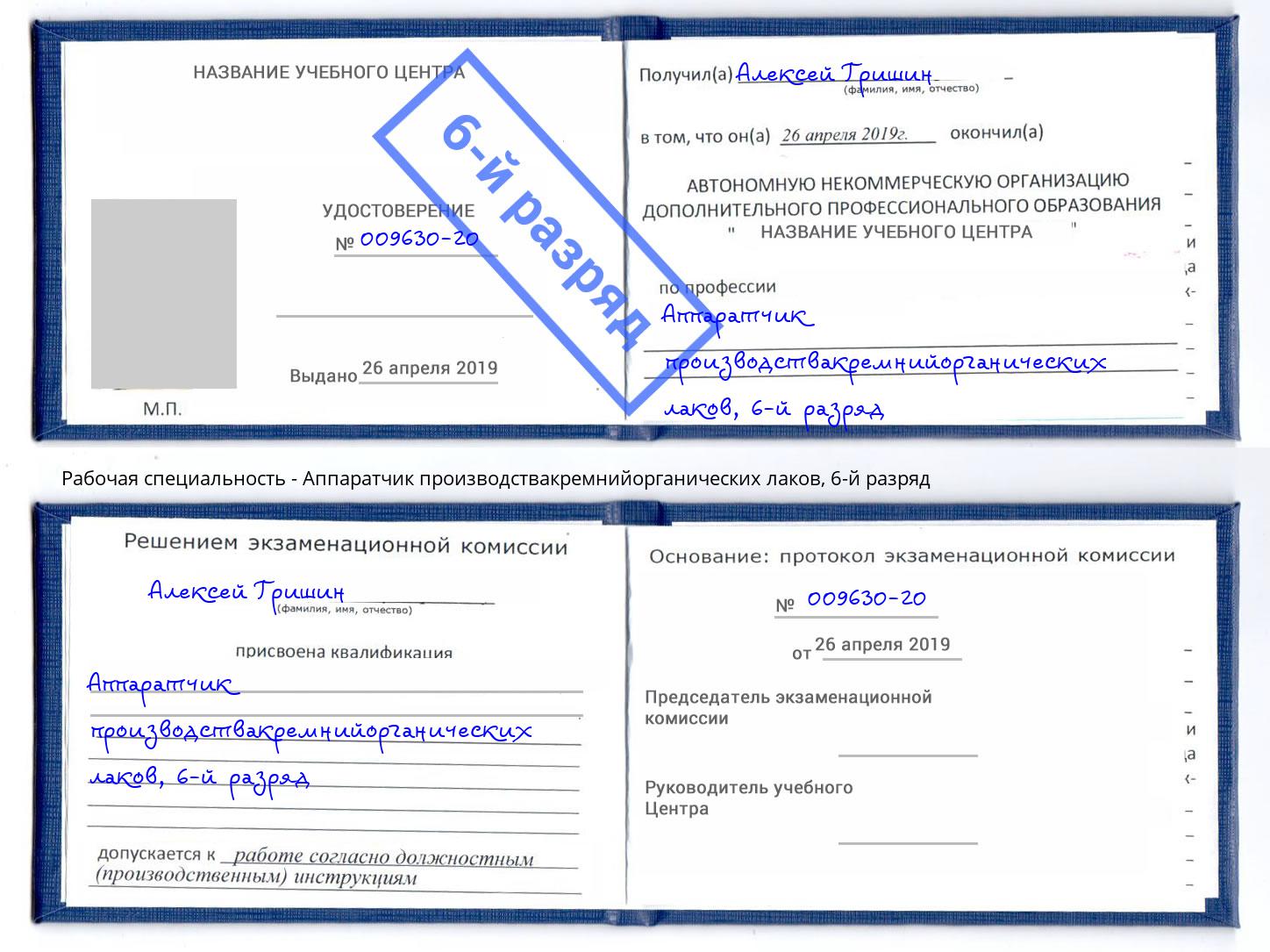 корочка 6-й разряд Аппаратчик производствакремнийорганических лаков Елец